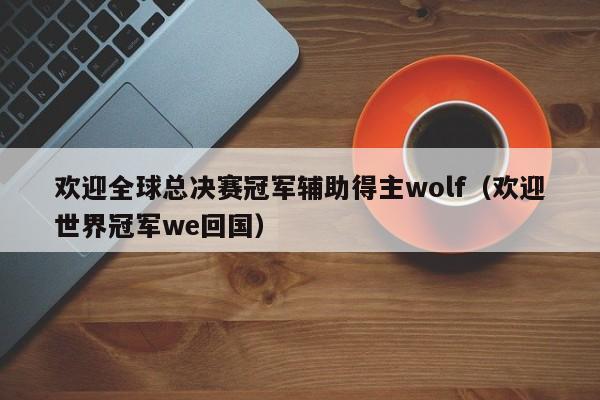 欢迎全球总决赛冠军辅助得主wolf（欢迎世界冠军we回国）