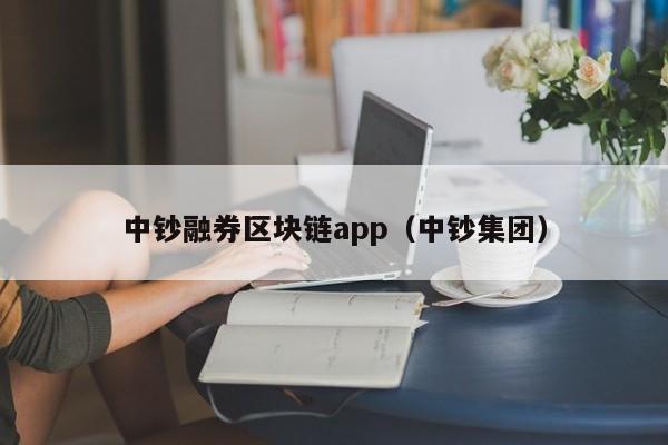 中钞融券区块链app（中钞集团）