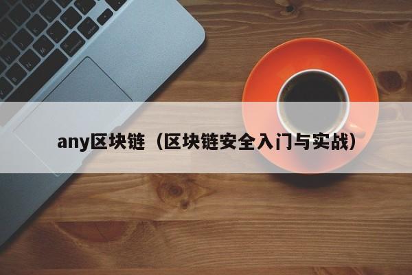 any区块链（区块链安全入门与实战）