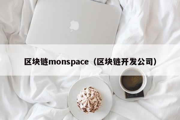 区块链monspace（区块链开发公司）