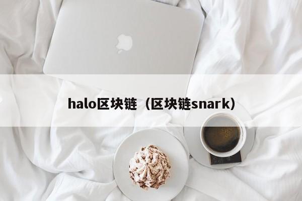 halo区块链（区块链snark）