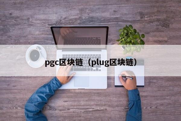 pgc区块链（plug区块链）