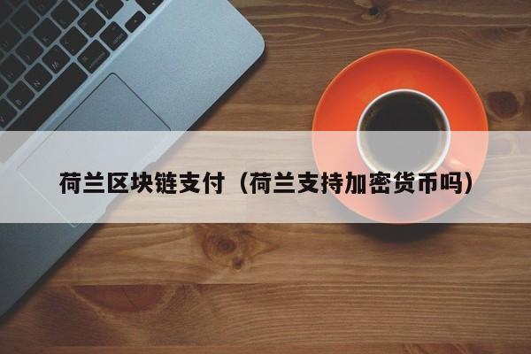 荷兰区块链支付（荷兰支持加密货币吗）