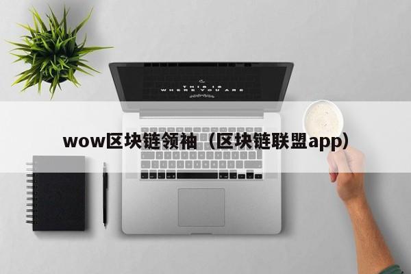 wow区块链领袖（区块链联盟app）