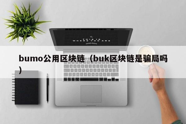 bumo公用区块链（buk区块链是骗局吗）