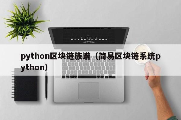 python区块链族谱（简易区块链系统python）