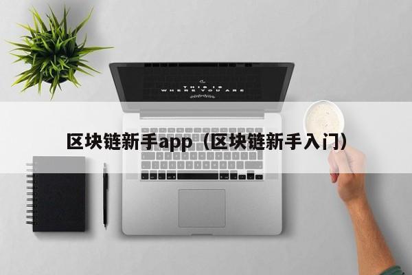 区块链新手app（区块链新手入门）