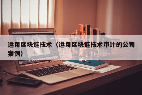 运用区块链技术（运用区块链技术审计的公司案例）